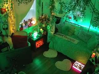 voyeurcam-veccasalt-01 webcam