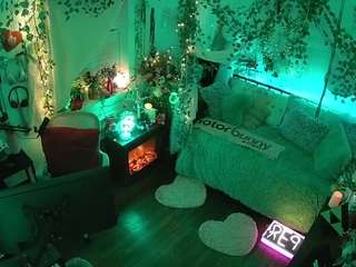 voyeurcam-veccasalt-01 webcam