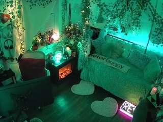 voyeurcam-veccasalt-01 webcam