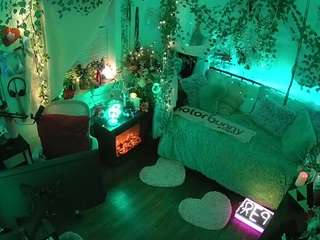 voyeurcam-veccasalt-01 webcam