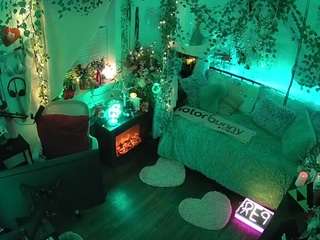 voyeurcam-veccasalt-01 webcam