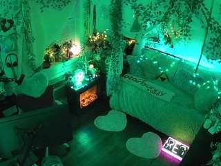 voyeurcam-veccasalt-01's CamSoda show and profile