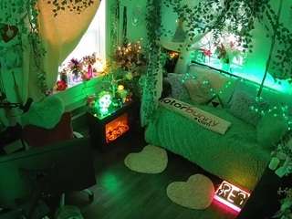 voyeurcam-veccasalt-01 webcam