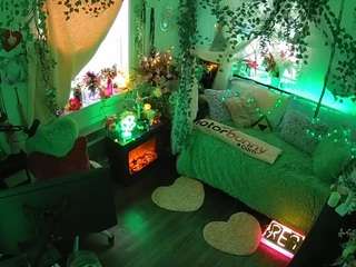 voyeurcam-veccasalt-01 webcam