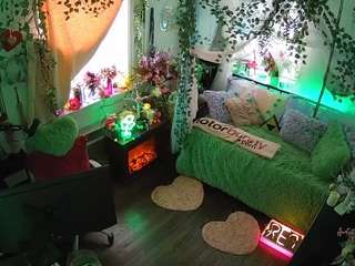 voyeurcam-veccasalt-01 webcam