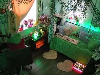 voyeurcam-veccasalt-01 webcam