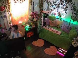 voyeurcam-veccasalt-01 webcam