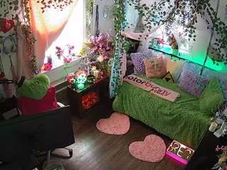 voyeurcam-veccasalt-01 webcam