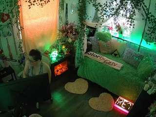 voyeurcam-veccasalt-01 webcam