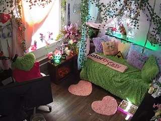 voyeurcam-veccasalt-01 webcam