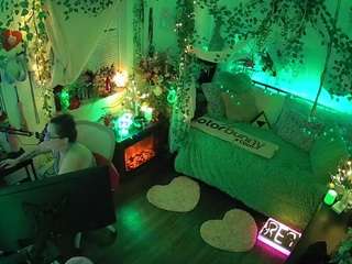 voyeurcam-veccasalt-01 webcam