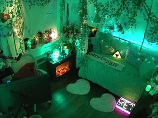 voyeurcam-veccasalt-01 webcam