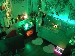 voyeurcam veccasalt 01