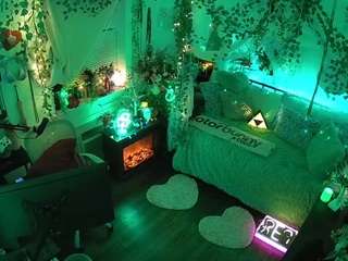 voyeurcam-veccasalt-01 webcam