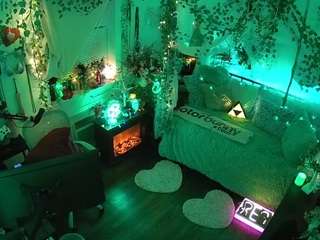 voyeurcam-veccasalt-01 webcam