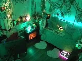 voyeurcam veccasalt 01