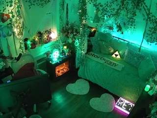 voyeurcam-veccasalt-01 webcam