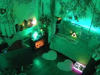 voyeurcam-veccasalt-01 webcam