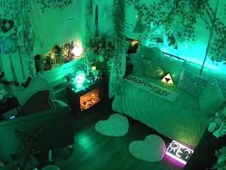 voyeurcam-veccasalt-01 webcam