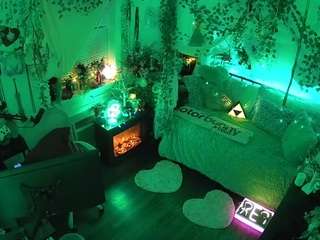 voyeurcam-veccasalt-01 webcam