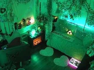 voyeurcam-veccasalt-01 webcam