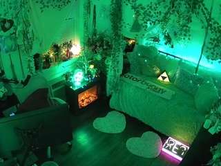 voyeurcam-veccasalt-01 webcam