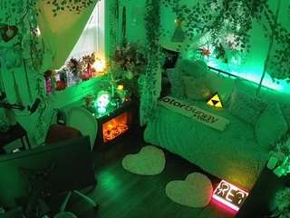 voyeurcam-veccasalt-01 webcam