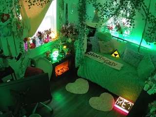 voyeurcam-veccasalt-01 webcam