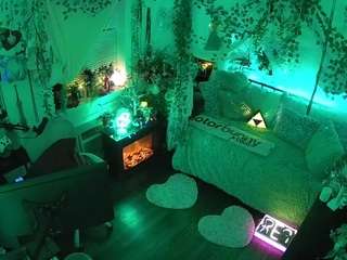 voyeurcam veccasalt 01 live cam