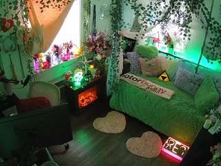 voyeurcam-veccasalt-01 webcam