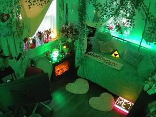 voyeurcam veccasalt 01