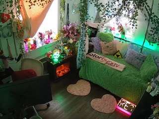 voyeurcam-veccasalt-01 webcam