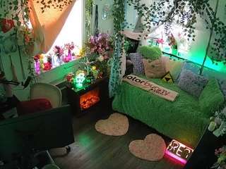 voyeurcam-veccasalt-01 webcam