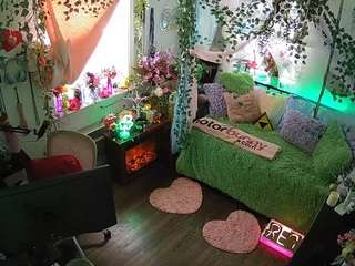 voyeurcam-veccasalt-01 webcam