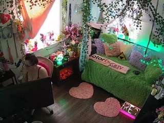 voyeurcam-veccasalt-01 webcam