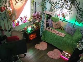 voyeurcam-veccasalt-01 webcam