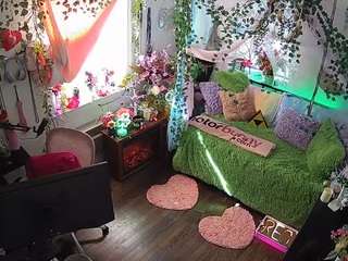 voyeurcam-veccasalt-01 webcam