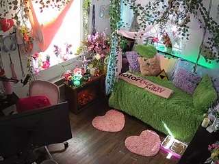 voyeurcam-veccasalt-01 webcam