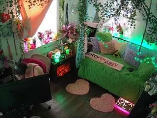 voyeurcam-veccasalt-01 webcam