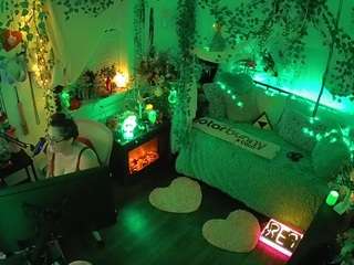 voyeurcam-veccasalt-01 webcam