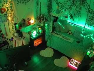 voyeurcam veccasalt 01