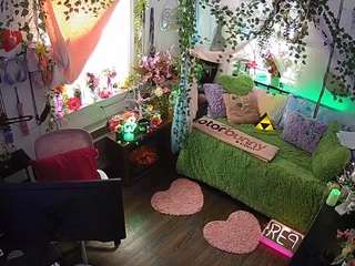 voyeurcam-veccasalt-01 webcam