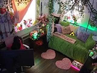 voyeurcam-veccasalt-01 webcam