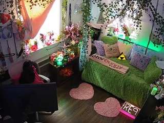 voyeurcam-veccasalt-01 webcam