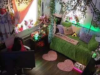 voyeurcam-veccasalt-01 webcam