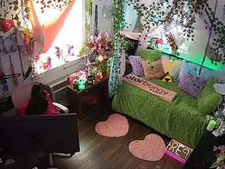 voyeurcam-veccasalt-01 webcam