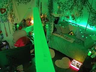 voyeurcam-veccasalt-01 webcam