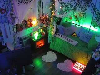 voyeurcam-veccasalt-01 webcam