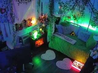 voyeurcam-veccasalt-01 webcam