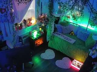 voyeurcam-veccasalt-01 webcam